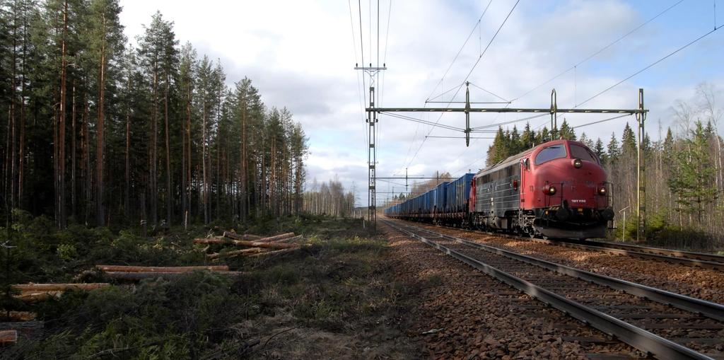 Avverkning av riskträd och röjning Röjning av skötselgator efter trädsäkring Utskick