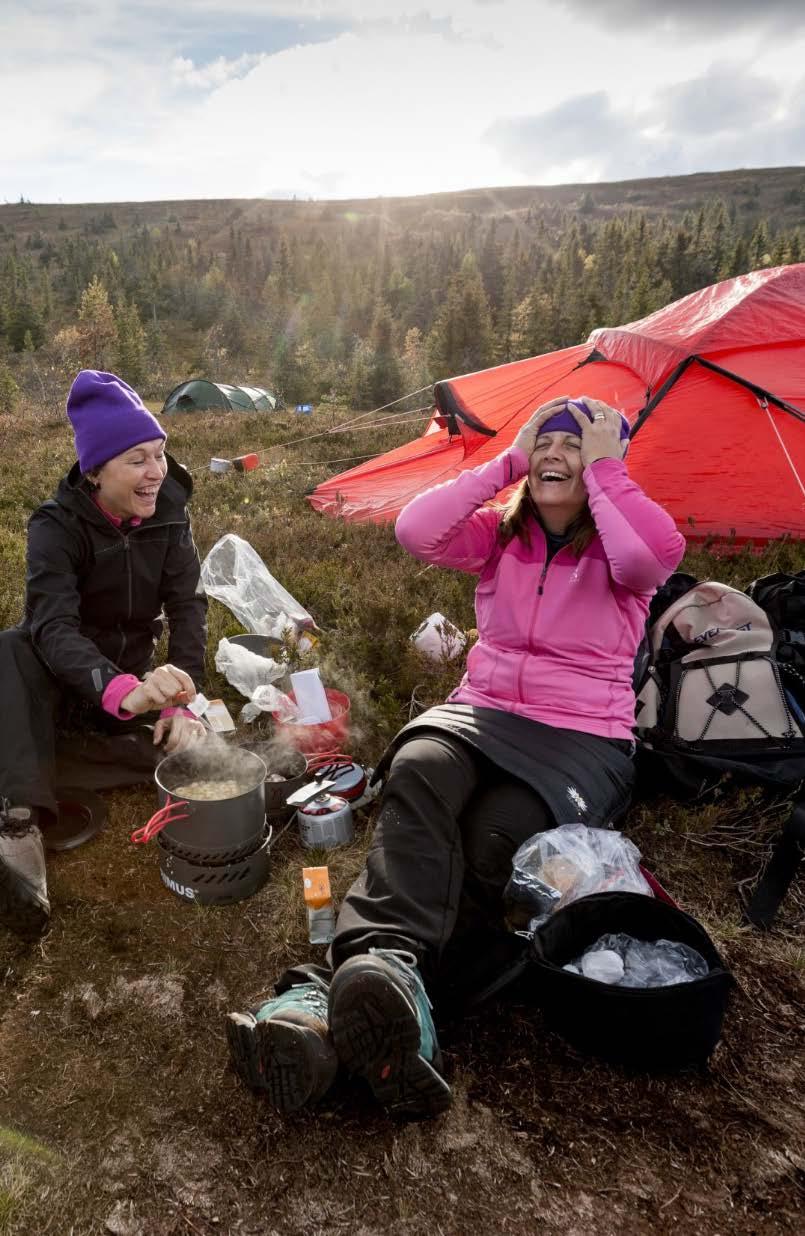 Extern intressentgrupp Syfte Bollplank och tillföra kompetens i processen Länk till det regionala nätverket och länk till Ekoturismföreningen Leif Öster: