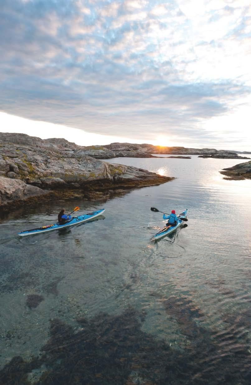 Intervjuer researrangörer Generellt hur ser efterfrågan ut