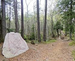 TÖRNSKOGEN FÖRENINGSSTÄMMA Törnskogens villaägareförenings 83:e föreningsstämma Onsdagen den 20 april 2016, kl. 19.