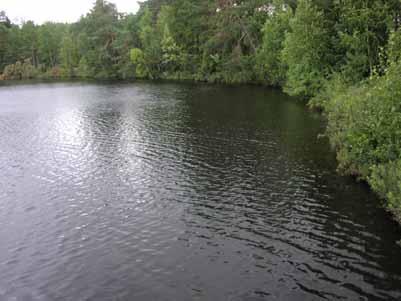 Korta sjöbeskrivningar och iakttagelser vid inventeringen Barsjön Barsjön är en oligotrof sjö med måttligt färgat vatten i Norrtälje kommun.