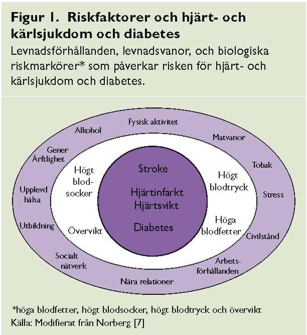 Folkhälsorapport 29