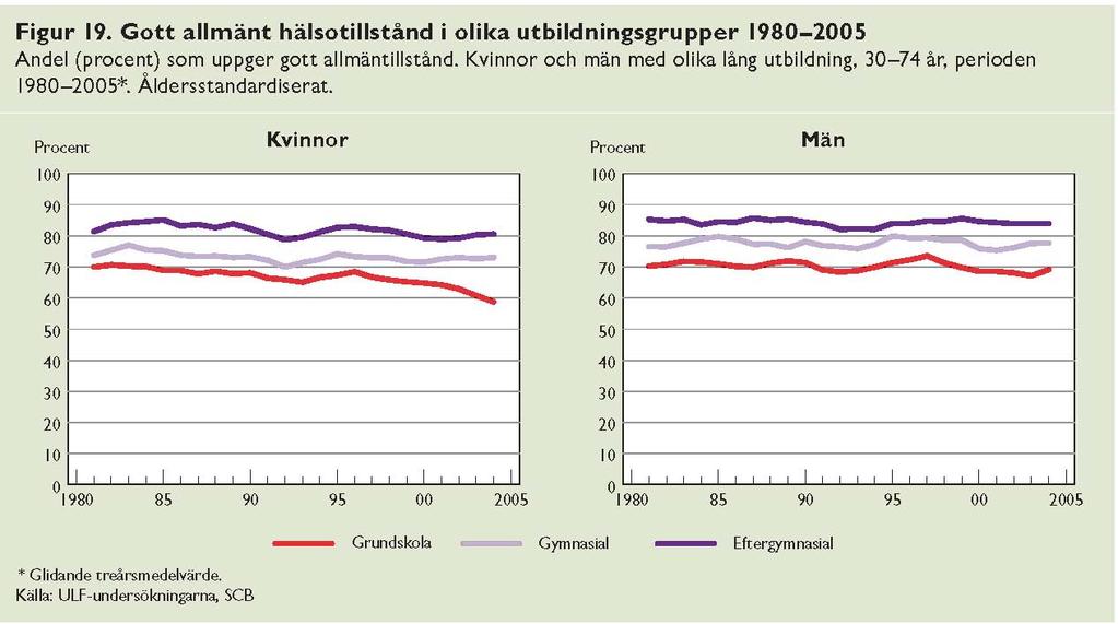 Folkhälsorapport 29