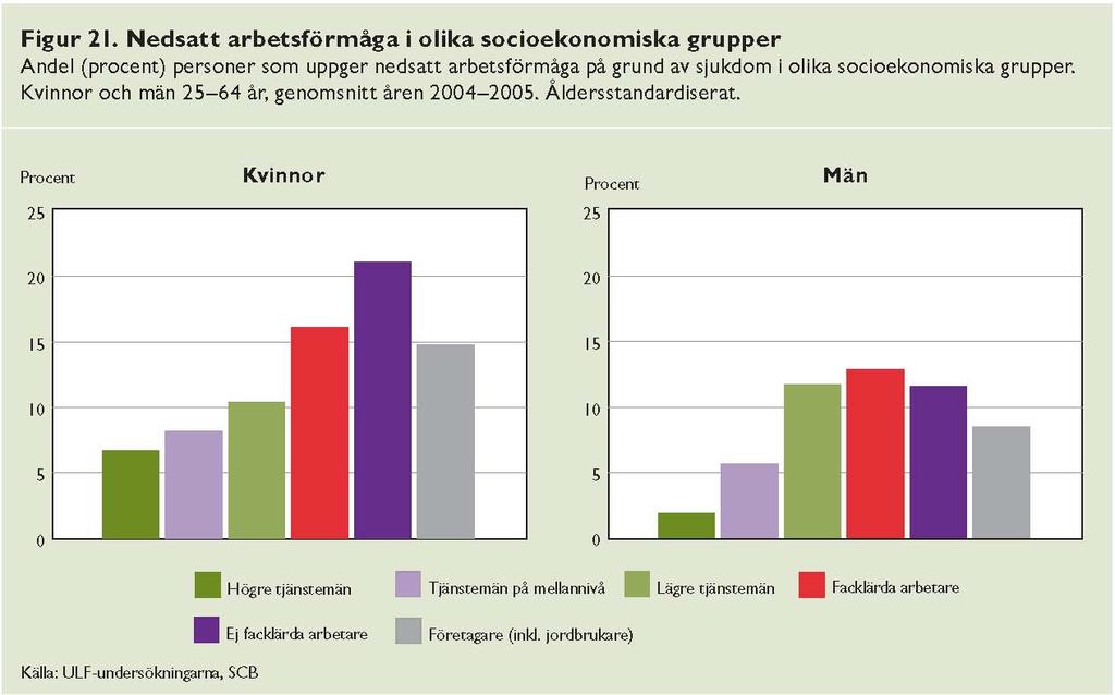 Folkhälsorapport 29