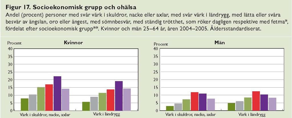 Folkhälsorapport 29