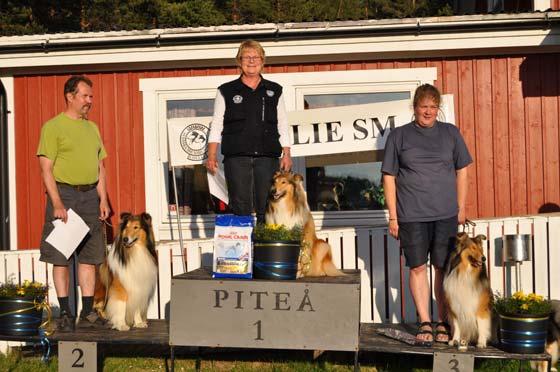 15 samt därefter en kvällslydnad. Värmen hade avtagit en del tills på kvällen.