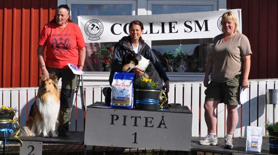 Lägre Spår 7 startande varav 4 collies och det var 4 stycken som genomförde hela tävlingen. Vinnaren, Jenny Marklund med Gemdales Valiant Viking 2:an blev båda uppflyttade.