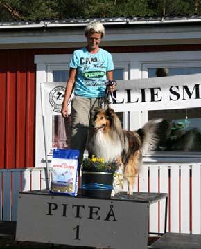 Vinna 451,25p godkänd Lägre sök I denna klass vara alla 3 startande collies och alla genomförde hela tävlingen.