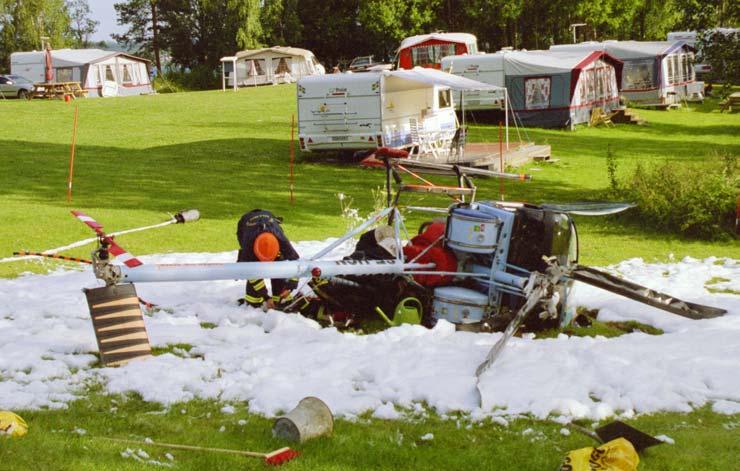 nordöstra del finns en liten skogsdunge bestående av några 10-15 meter höga lövträd.