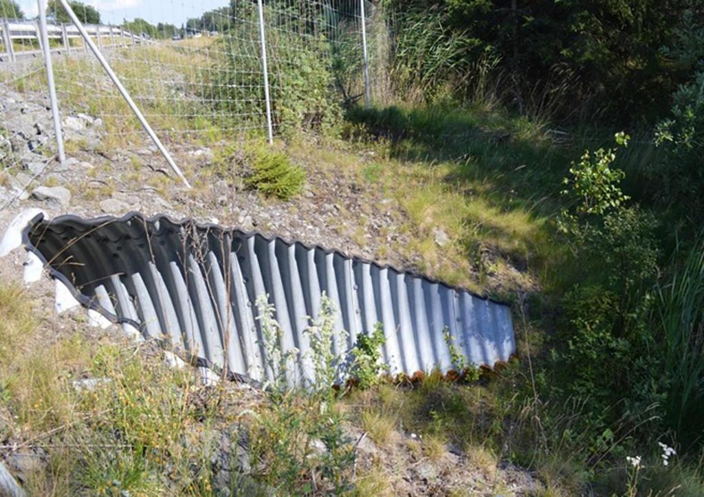 fladdermössens flygrutter. Detta kräver att kolonilokaler identifieras och att fladdermössen följs mellan kolonilokal och födosöksområde. Figur 4.