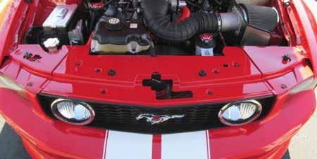 50TH JUBILEUM LOGGA 10-14 GT, V6 10-12 GT500 100384 3