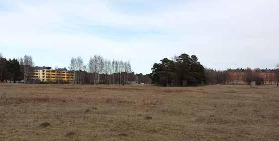 PLATSENS MÖTE MED OCH KOPPLING TILL OMGIVNINGEN.