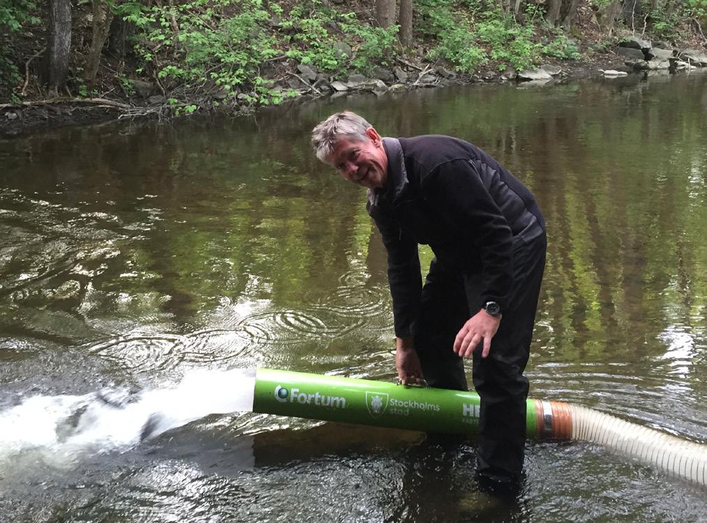 Sverker sätter ut 3600 öringsmolt i Lundaströmmen, Norrtälje. Tullviksbäcken Norrtälje 14/9: Allmän koll av flöden och vandringshinder i båda grenarna. Båda fårornas övre delar är helt torrlagda.