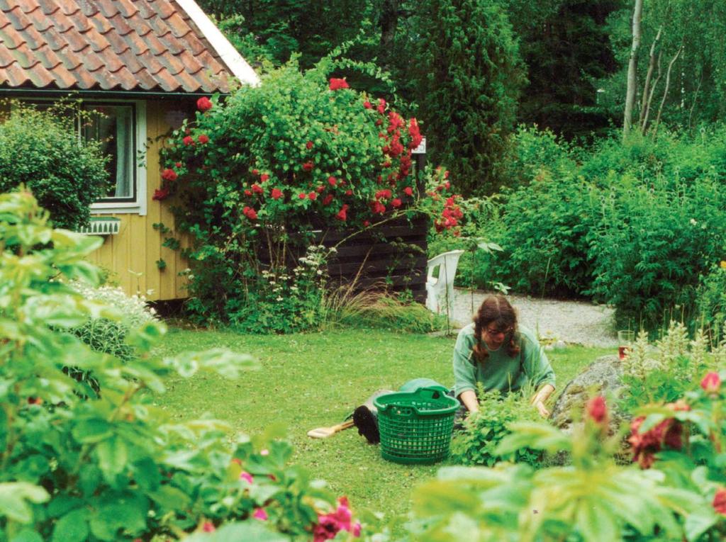 Välkommen till konferensen Ett helhetsgrepp på hälsa 29-30 maj 2008 i Ockelbo och Gävle Tvärvetenskapligt