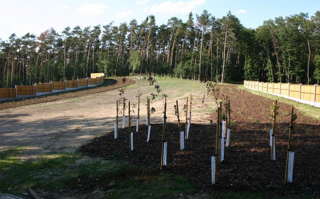 Man kan bland annat plantera träd och buskar som bildar bryn (figur 22), bygga upp stenmurar eller placera ut linjer med stenhögar (figur 23) eller död ved,