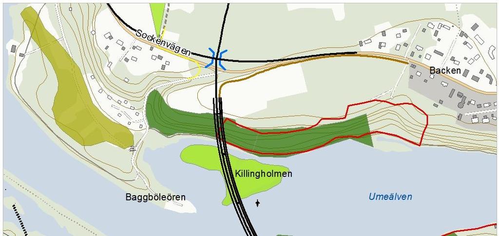 Figur 1. Karta över naturvärden vid planerad bro. Friluftsliv Ume Älvdal är ett attraktivt rekreationsområde som erbjuder möjlighet till flera olika friluftsaktiviteter.