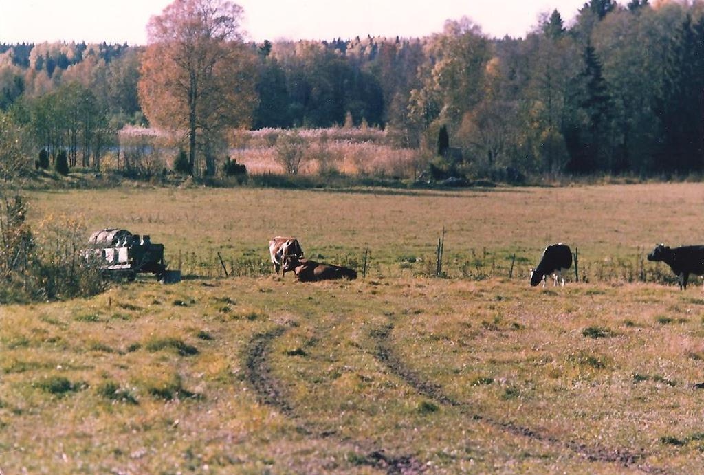 Sveriges lantbruksuniversitet Fakulteten för veterinärmedicin och husdjursvetenskap Swedish University of Agricultural Sciences Faculty of Veterinary Medicine and Animal Science Tillväxt hos