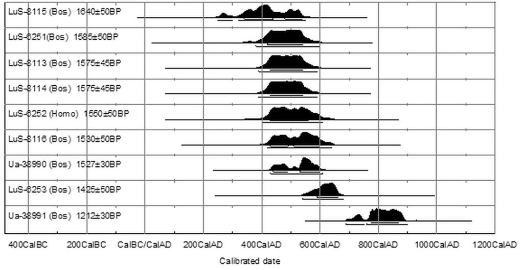 Fig. 4. 14 C-dateringar av djur och människoben från kulturlagret (L52768) med vapendepositionen. material, men resterande benmaterial har blivit föremål för dokumentation av osteologisk data.