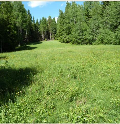 Sjötorpet-Kranserud Församling: Sillerud Koordinater: 6586989, 1310310 Tuvaobjekt: Nej Areal: 4,5 ha Naturtyp enl Tuva: - Hävd: Ja Hävdform: Slåtter Floravärlden Lst 2013: Nej Årjäng del 1: Nej