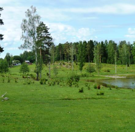 Slängom Församling: Sillerud Koordinater: 6569469, 1303667 Tuvaobjekt: Ja (två skiften) Areal: 10,3 ha Naturtyp enl Tuva: Hävd: Ja Hävdform: Bete Floravärlden Lst 2013: Nej Årjäng del 1: Nej Årjäng