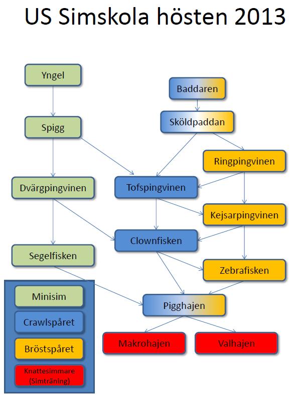 Sid 8 SIMLINJEN PÅ UPSALA SIMSÄLLSKAPS VIS - KAROLINA WIELL, Simskoleansvarig - mottagandet av Upsala Simsällskaps version av SSFs simlinje hitintills varit mycket positivt både hos barn och