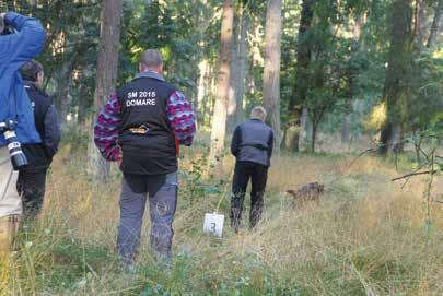 Oj hoppsan, de var ine meningen säger föraren när hela Som domare i bruksprov kan man vara B- eller A-domare. Som B-domare är du aukoriserad a döma of- godispåsen ramlar u på söksigen.