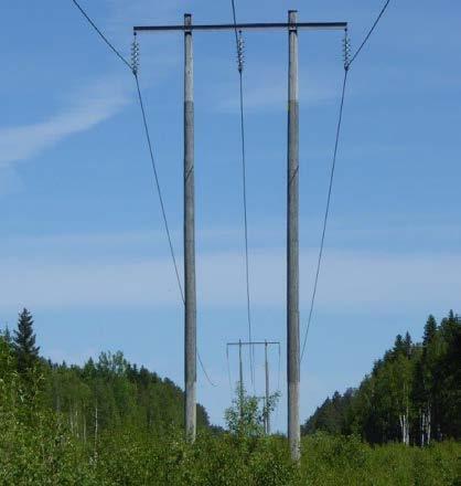 Figur 3. Fotot till vänster illustrerar en träportalstolpe som används som befintlig stolpkonstruktion. Fotot till höger illusterar befintlig ledning i en röjd ledningsgata.