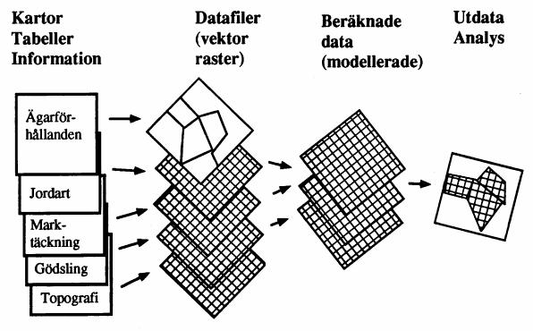 Grunderna för spatiala data i GIS: Ex på