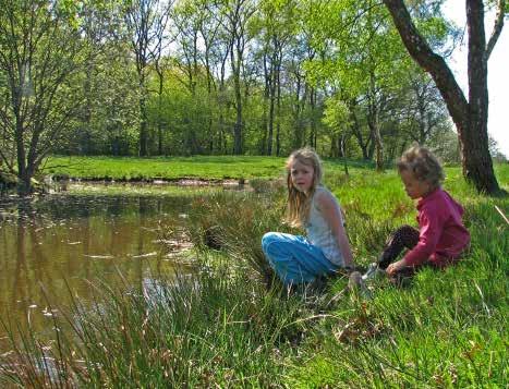 NATUR OCH KULTUR mest värdefulla områdena där sjöar och vattendrag ingår är skogs- och sjöområdet mellan Bjärsgård och Sjökroken samt delar av Söderåsen med Skärdammen, Klövabäcken och Skärån.