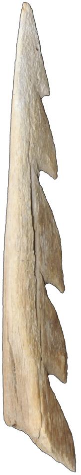10 11 3 cm 16