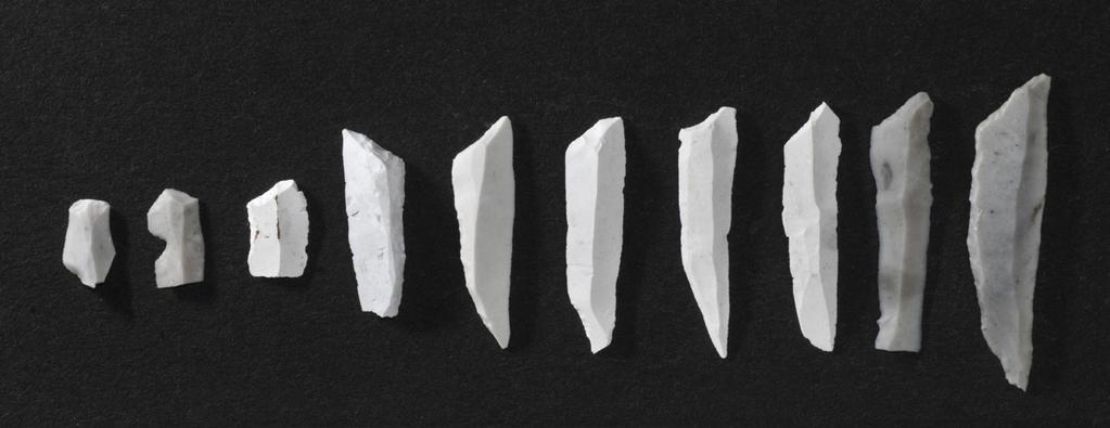 0 3 cm Fig. 11. Mikrosticklar och triangelmikroliter från aktivitetsytan FP1426. Skala 1:1. Foto: Arne Sjöström. sprickor och ojämnheter i gyttjan.