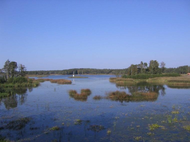under temaåren?