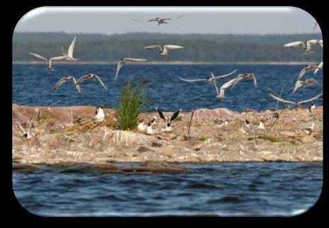 i Vänern