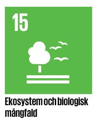 Sex områden: Utveckla
