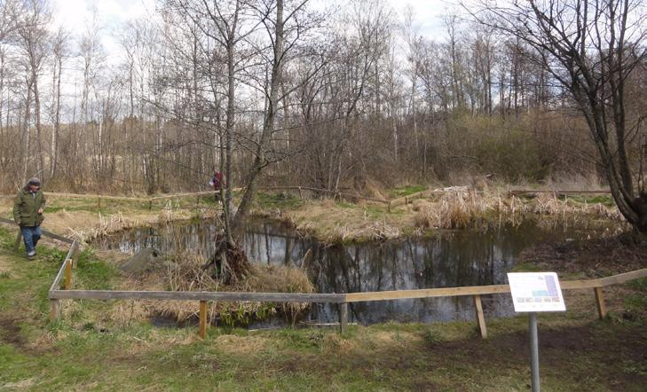 Yta: 30 m 2 Djup (max/medel): 1,1 m/0,6 m Tillgänglighet: Nära bilväg Groddjur: Mindre vattensalamander Stadsdel: Bromma Kyrksjödammen Dammen ligger på södra sidan av