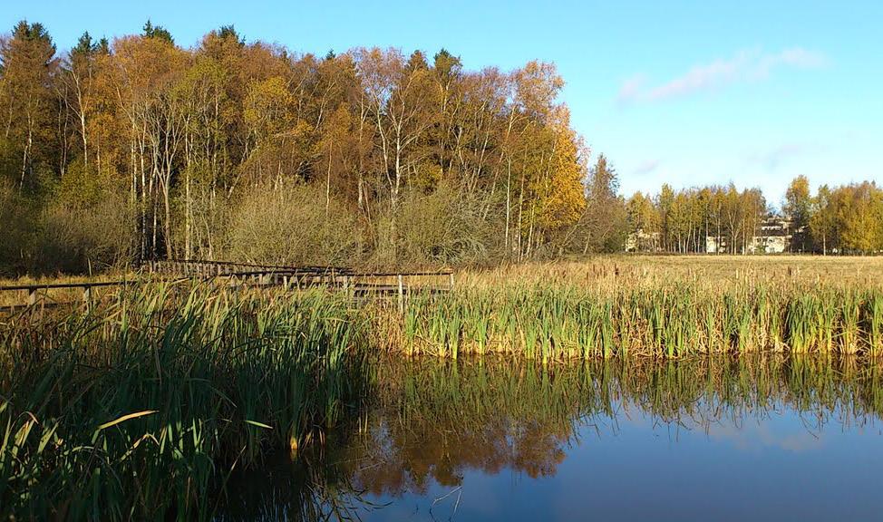 Grävdes: 2006 Yta: 200m 2 Djup (max/medel): 0,5 m/0,3 m Tillgänglighet: Grusväg, däck Groddjur: Vanlig groda, mindre vattensalamander Stadsdel: Skarpnäck Järvafältets dammar