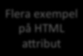 HTML Formulär <form> Name: <input type= text