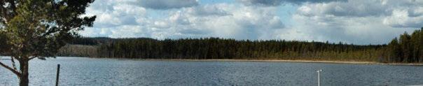 8H50122.122.125 Från områdena vid västra stranden av Mellansjö kan man se vindkraftparken i öst.