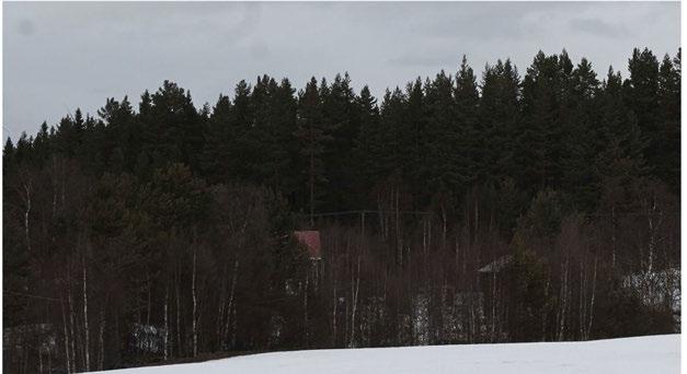 8H50122.122.125 Figur 101: När fotomontaget från Hedsjö by förstoras kan man skönja två verk längst ut till vänster som hör till Björnbergets vindkraftspark, ca 5,3 km bort. 7.16.