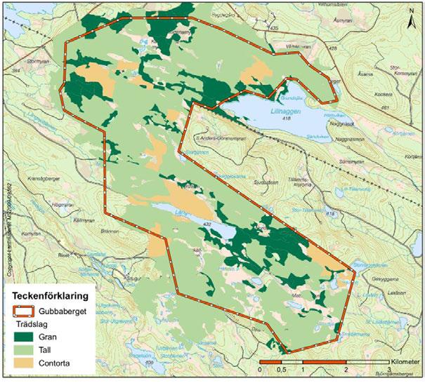 8H50122.122.125 5.5.5 Vattenskyddsområde Inget vattenskyddsområde finns i närheten av projektområdet. 5.6 Nyttjandeintressen 5.6.1 Skogsbruk och jakt Projektområdet nyttjas huvudsakligen för skogsbruk men även för jakt.