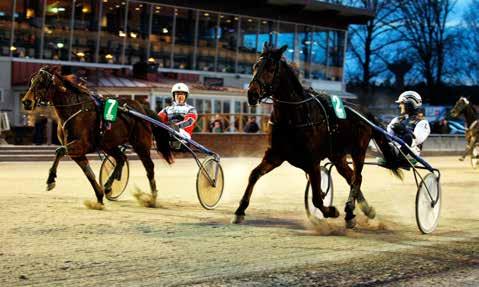 På Romme vann hon tillsammans med egentränade Push n Shove. Push n Shove har haft en lite småkrokig start på karriären men en del galopper längs vägen.