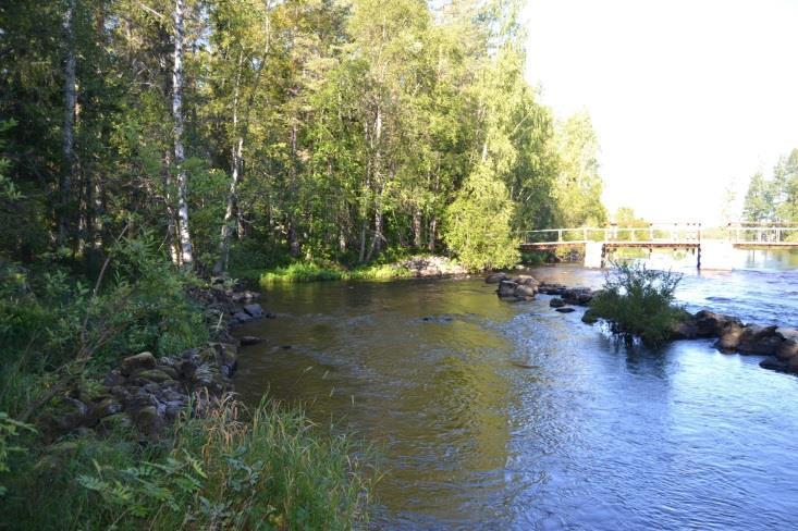 På sträckan återställdes sju forsar (figur 1).