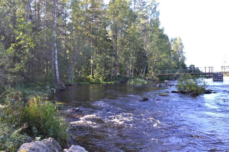 Totalt återställdes 515 m strömsträckor med en total yta av cirka 14 000 kvadratmeter.