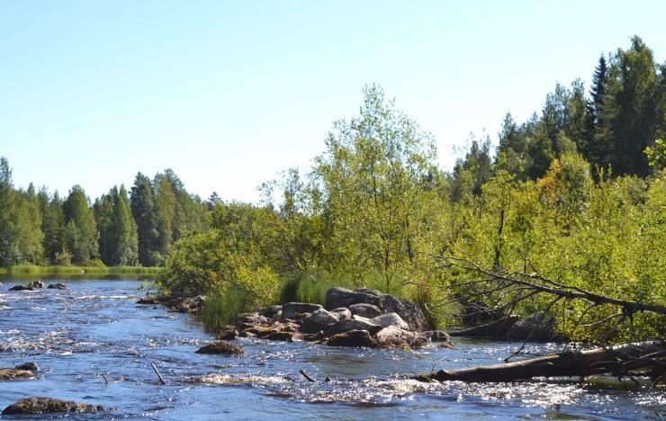 Figur 3: En stenbrytare avtäcktes och stenen placerades ut för att skapa ett grunt