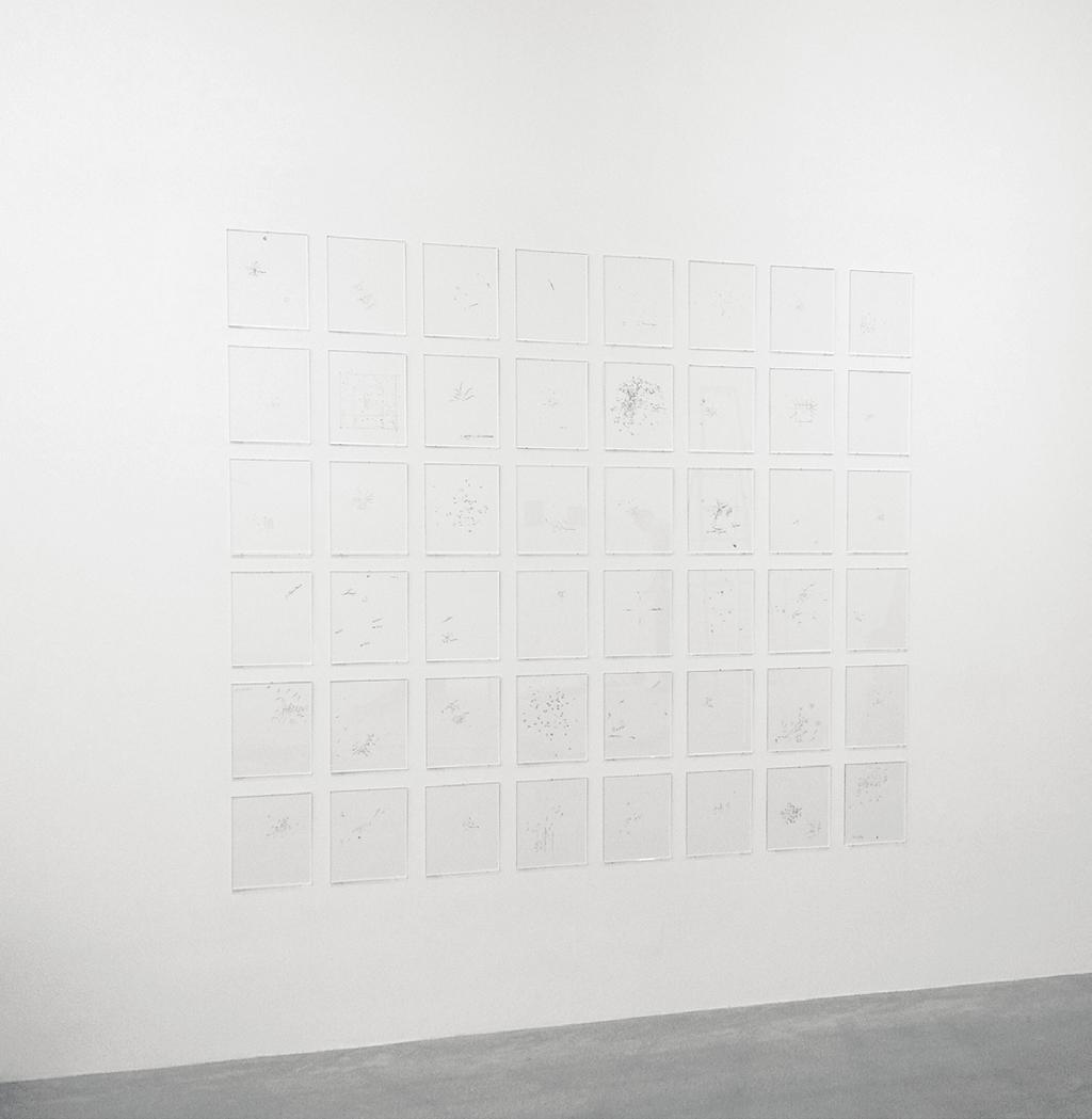 Jenny Åkerlund, Observations (I-XLVIII), 2014-15,