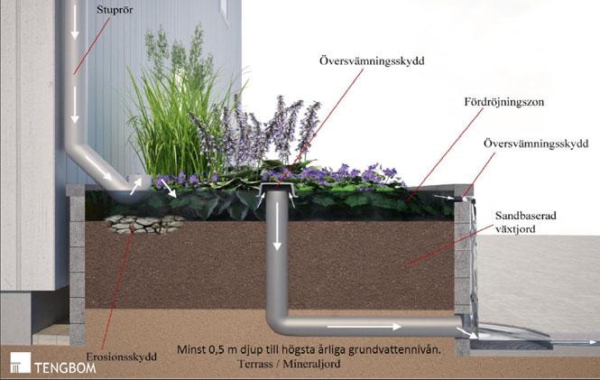 I växtbädden sker både rening och fördröjning av dagvatten och lösningen lämpar sig bra i urbana miljöer.