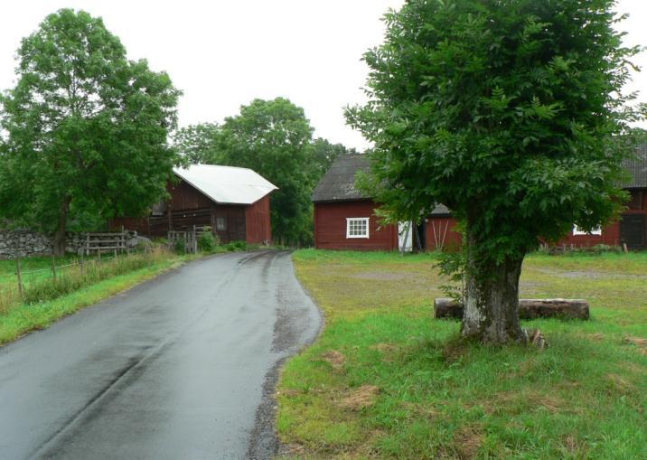 I betesmarkerna fanns mustasch/brandts. Med en måttlig individrikedom och 3 funna arter är denna lokal hittills att betrakta som medelgod.