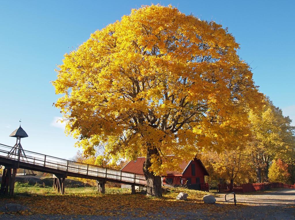 MEDLEMSBLAD Nr 3 augusti 2016 Edsvik hösten 2015 STUDIEBESÖK ÄLDRERÅDET HÖSTENS