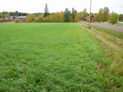 11 höskörd i början av juli, inom vissa områden på fältet var förekomsten av åkertistel mycket stor. Vallen bröts på hösten 2002.