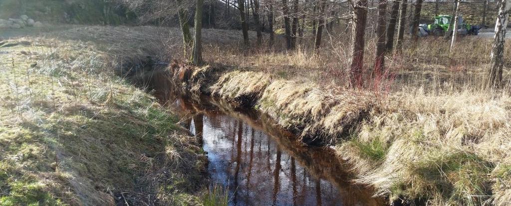 Nedströms kulverten är lutningen ned till Landvettersjön liten och bäcken har en lugnt strömmande karaktär.